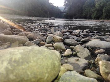 Surface level of stones on shore