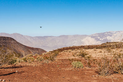 Scenic view of landscape against clear sky