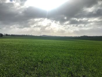 Scenic view of field against sky