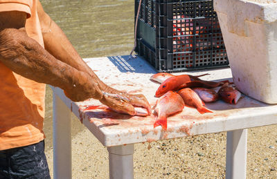 Man feeding fish in water