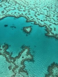 High angle view of great barrier reef