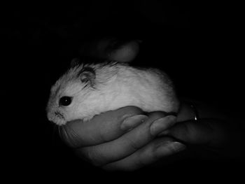 Close-up of hand holding baby against black background