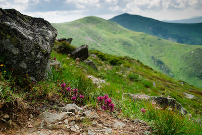 Scenic view of rocky mountains