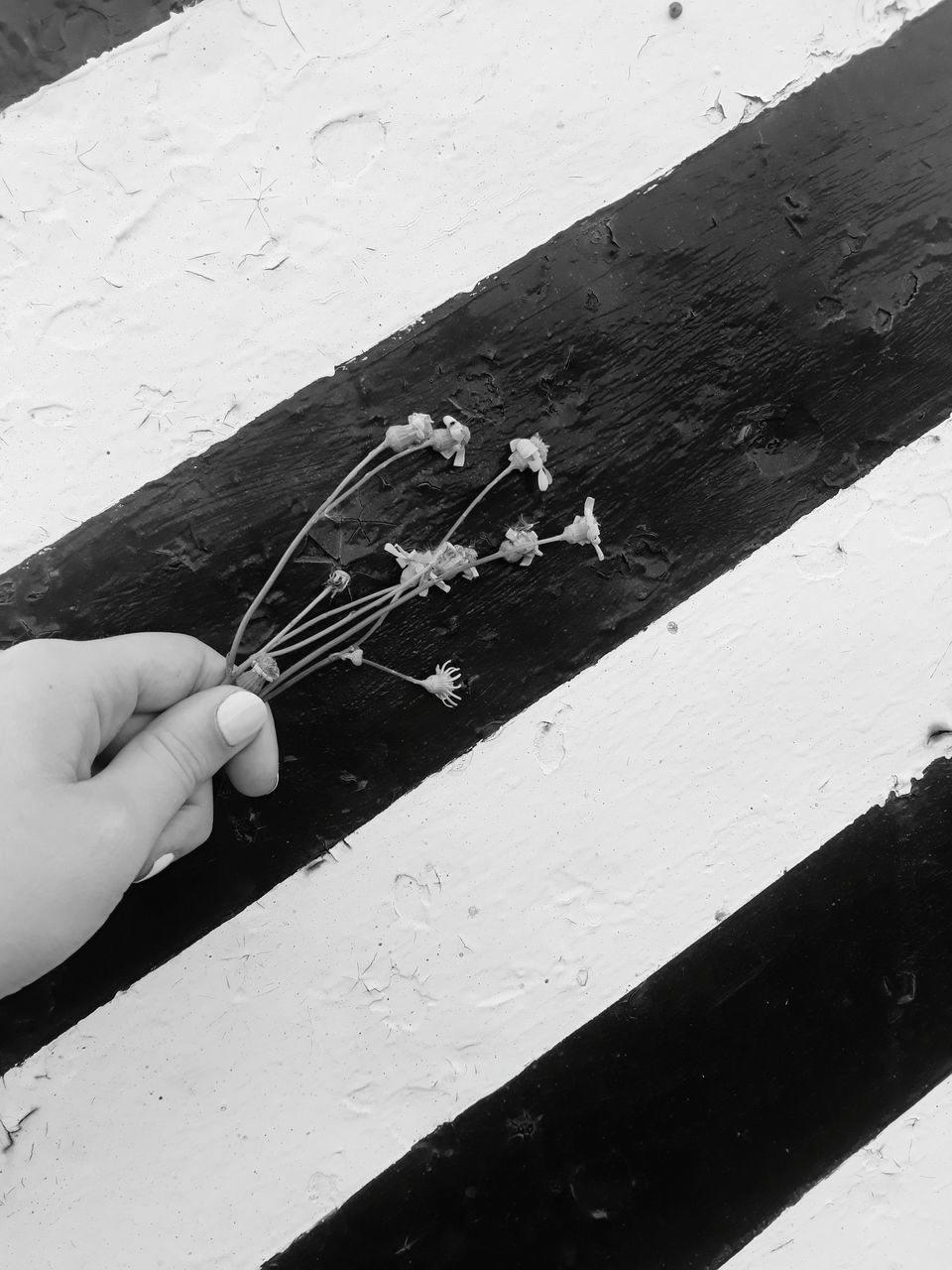 HIGH ANGLE VIEW OF PERSON HAND HOLDING PAPER