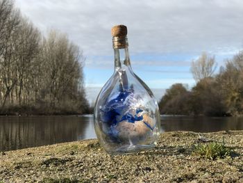 Reflection of tree in lake against sky