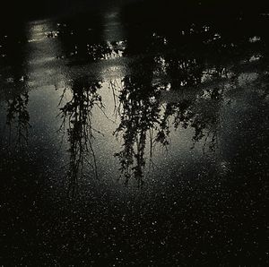 Reflection of silhouette trees on lake against sky