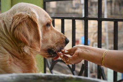 Man holding dog outdoors