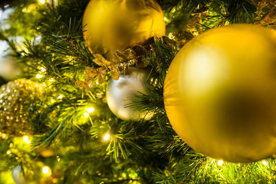 Close-up of christmas decorations