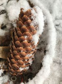 Close-up of ice cream in snow