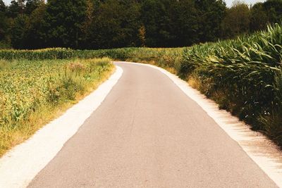 Empty road along trees