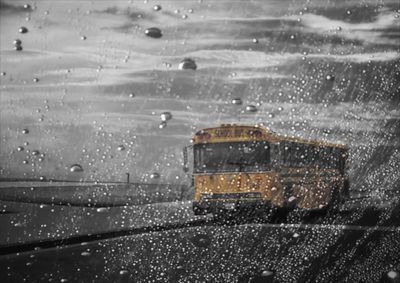 Close-up of wet car on road during rainy season