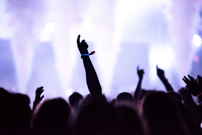 Group of people at music concert
