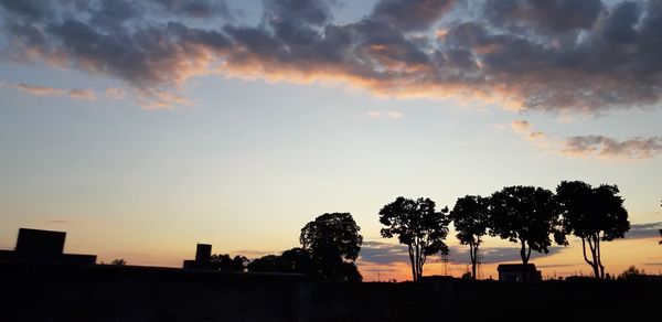 Silhouette trees against sky during sunset