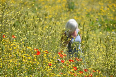 Rear view of woman with flowers in field