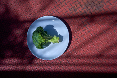 Close-up of broccoli in plate