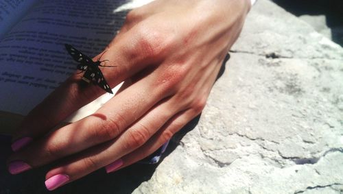 Close-up of insect on hand