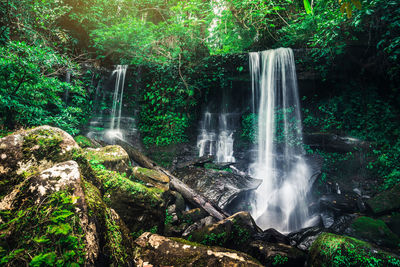 Waterfall in forest