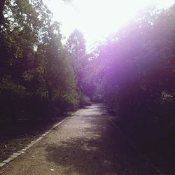 Footpath passing through trees