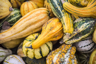 Full frame shot of pumpkins for sale at market stall