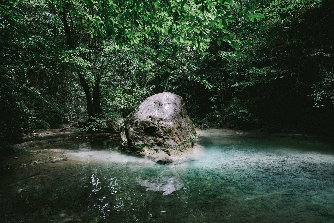 WATERFALL AMIDST ROCKS IN FOREST