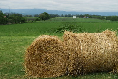 Hay bales on field against sky