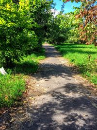 Road passing through landscape