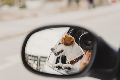 Reflection of woman photographing by dog in side-view mirror car