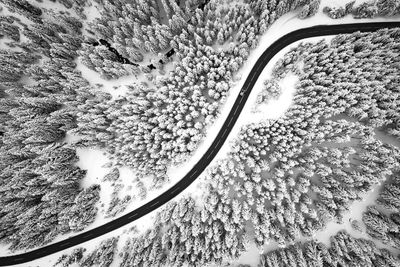 Aerial view of road amidst snow covered trees