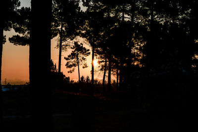 Silhouette trees against sky during sunset