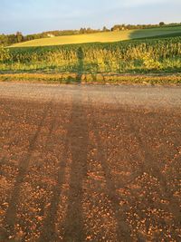 Road passing through field