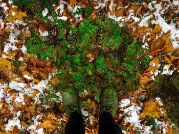 Low section of person standing on autumn leaves