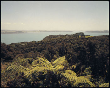 Scenic view of sea against clear sky