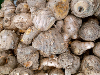 A large pile of brown galangal photo