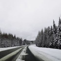 Road amidst trees against sky during winter