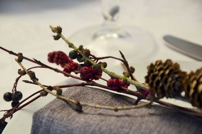 Close-up of flower on table