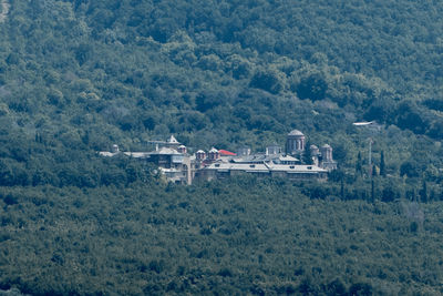 High angle view of trees and buildings