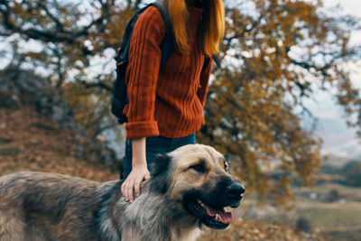 Rear view of woman with dog against trees