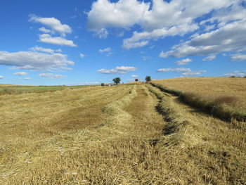 Scenic view of land against sky