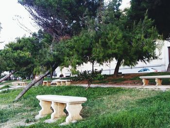 Chairs and table on grass against trees