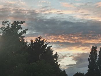 Low angle view of trees against cloudy sky