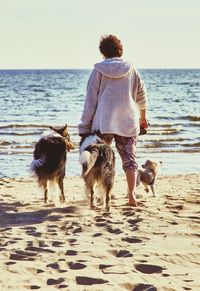 Rear view of man walking with dog on beach