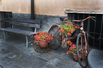 Potted plants outside building