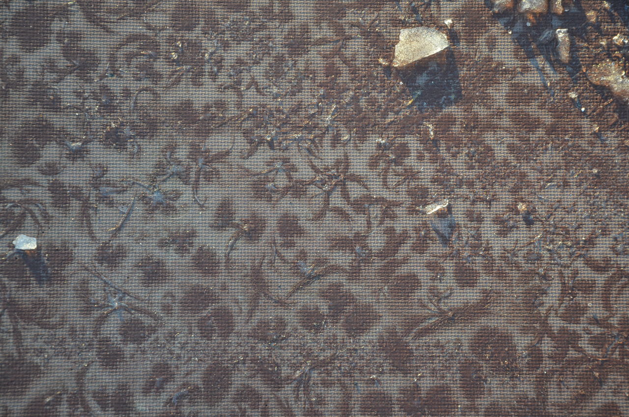 Winter pattern