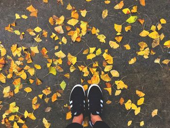 Low section of woman standing on autumn leaves