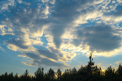 Low angle view of silhouette trees against sky during sunset