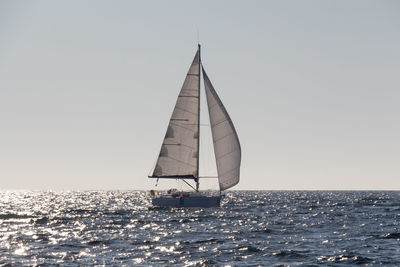 Sailboat sailing in sea against clear sky