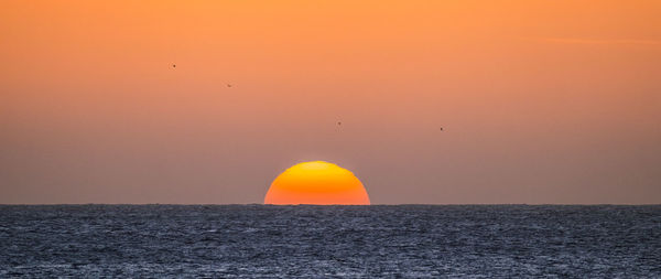 Scenic view of sea against orange sky