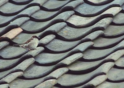 Full frame shot of tiled floor