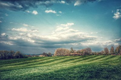 Scenic view of field against sky