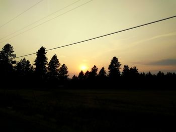 Silhouette trees on field against sky at sunset